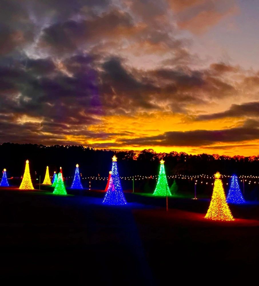 Havana Christmas Tree Farm