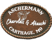 Aschermann Charolais