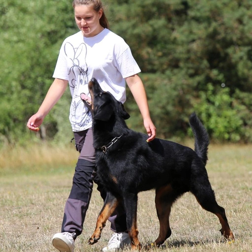 Junge Frau trainiert einen großen schwarzen Hund im Freien.