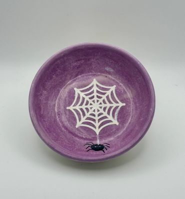 Purple bowl with spiderweb and spider design.