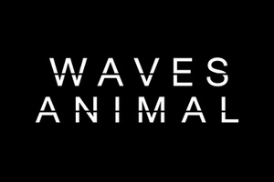 WAVES ANIMAL