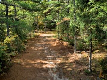 Back in site-Wooded with Shade
Available camping area within site: 30' Wide X 80' Long