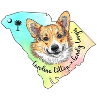 Carolina Cotton Candy Corgis