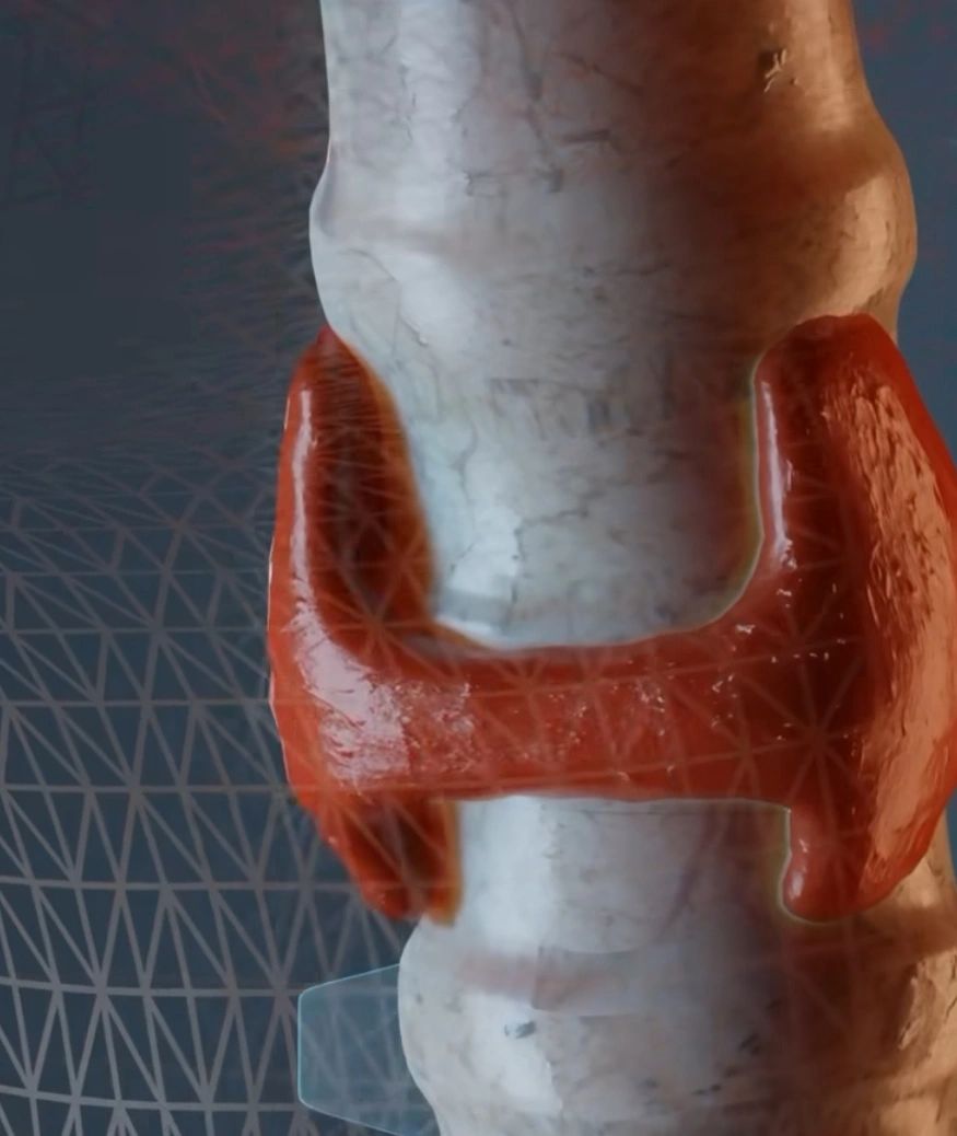 Glandular Therapy & The Work of Dr Royal Lee