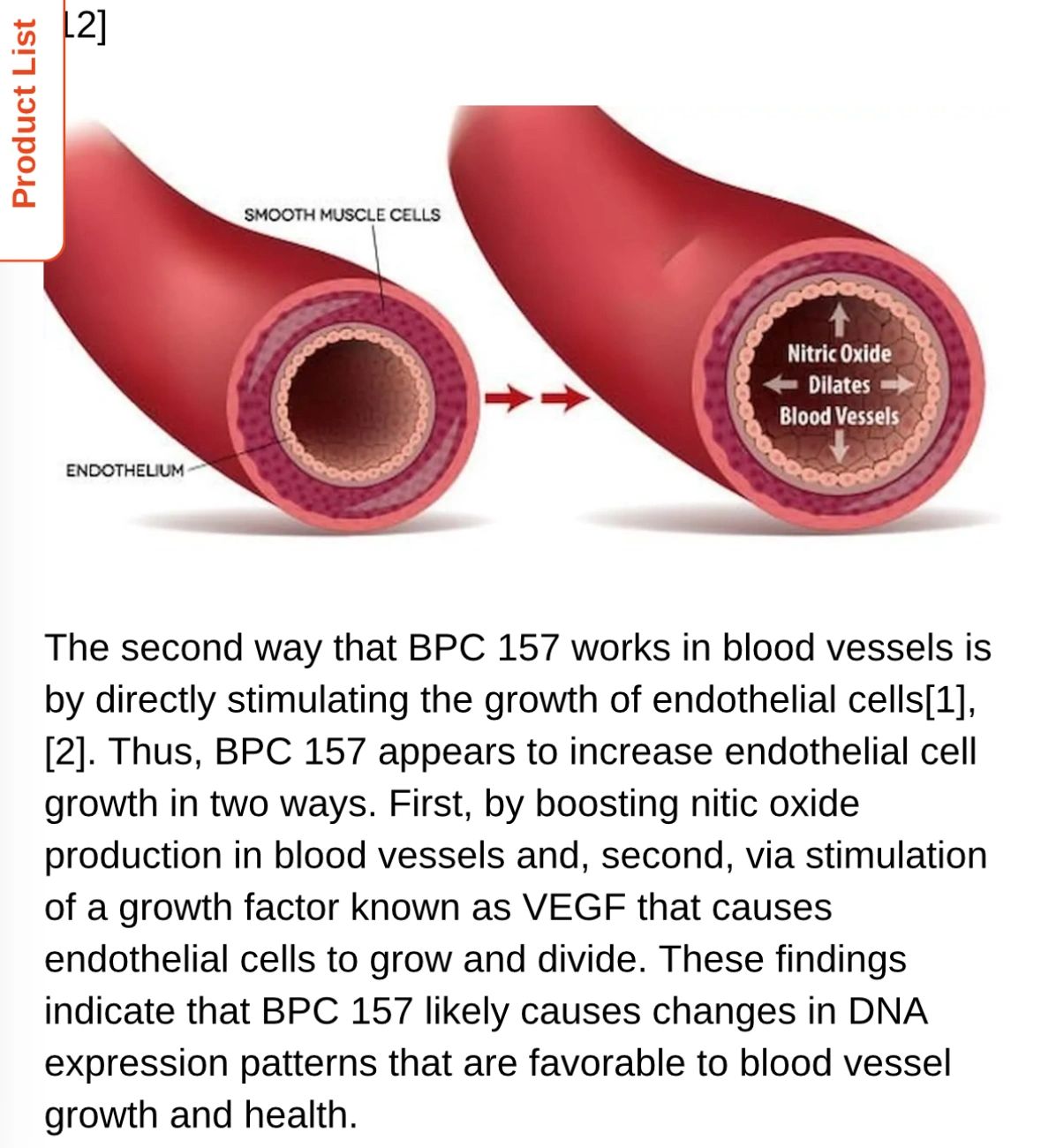 BPC protein in Beef Tripe & the possible benefits