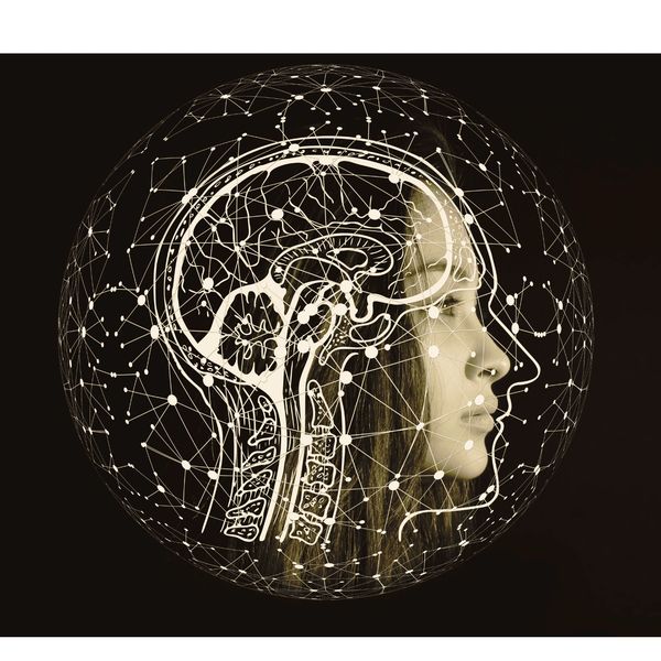 best tutoring services  
professional tutoring  
after-school tutoring  
summer tutoring  
remote 