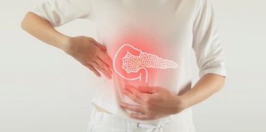 Anatomia do Pâncreas