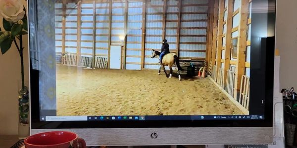 video riding lesson, virtual riding lesson