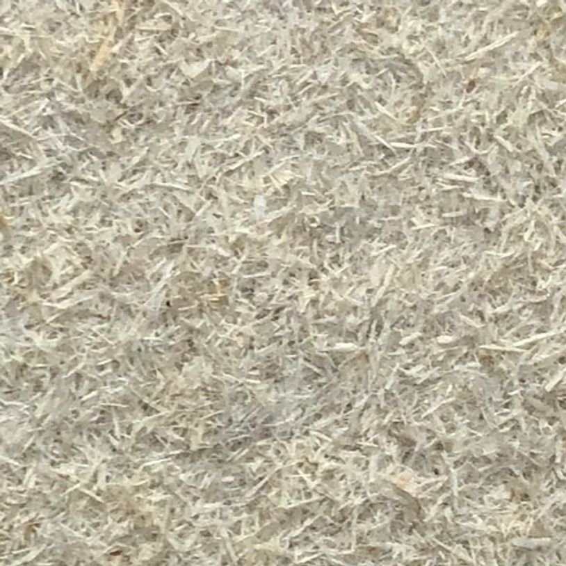 Under Microscope