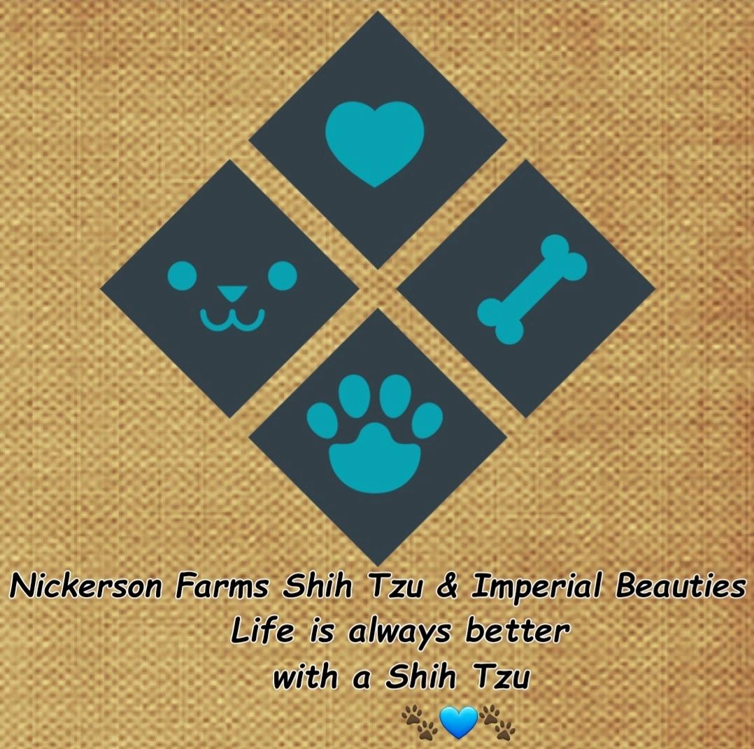 Nickerson Farms Shih Tzu & Imperial Beauties LLC