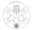 Benjamin Schwartz Acupuncture