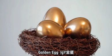 Three shiny golden eggs resting in a brown nest against a plain background.
