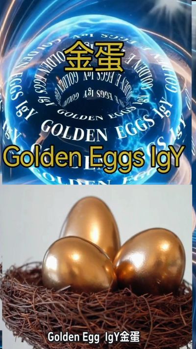 Golden eggs with IgY in a nest.