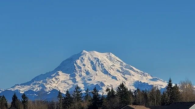 A view of Mt Rainer from graham WA neighborhoods.