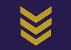 SERGEANTS PROPERTY MAINTENANCE 