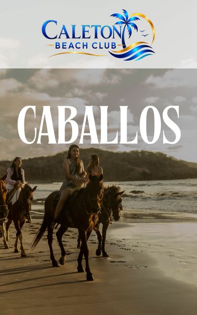 Paseo a caballo en la playa al atardecer.
