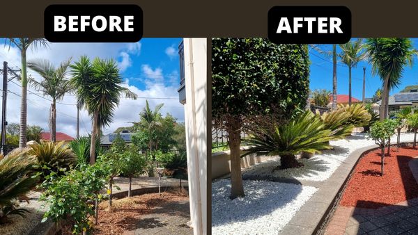Before & After Gardening Picture