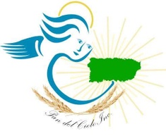 PAN DEL CIELO INC