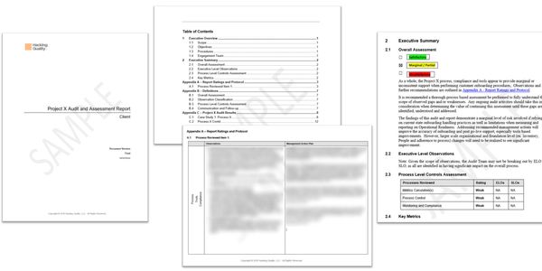 Audit report cover, table of contents, and executive summary pages.