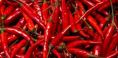 Red Chilies Export