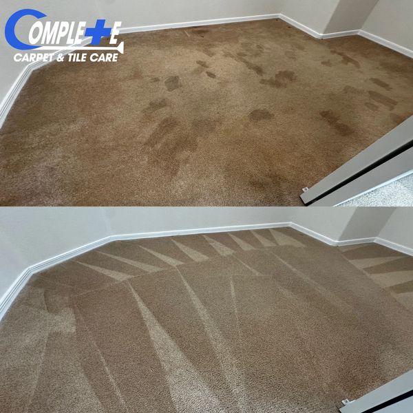Pet Stain and Odor Removal - Carpet Cleaning in Las Vegas and Henderson, NV.