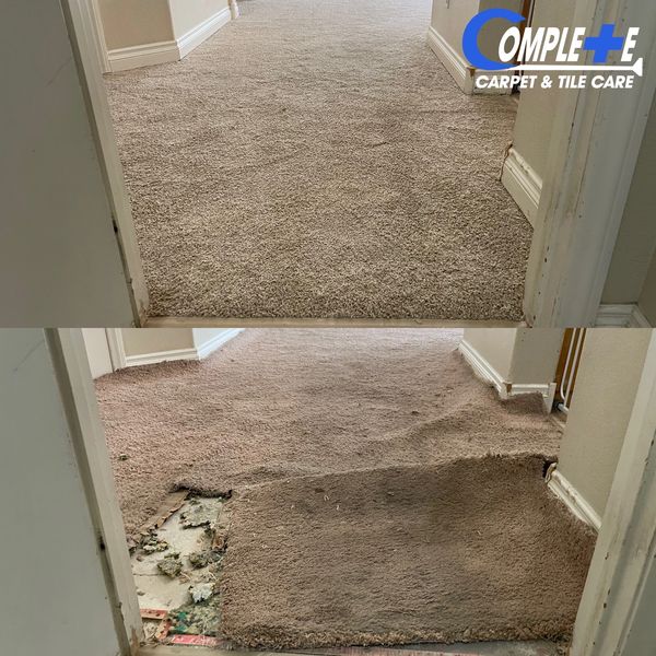 Professional Carpet Repairs in Las Vegas
