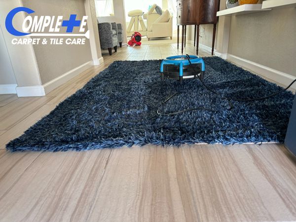 Steam Cleaning a Rug in Las Vegas - Professional Area Rug Cleaning