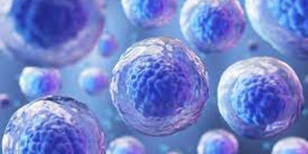 Magnified 3D illustration of blue biological cells.