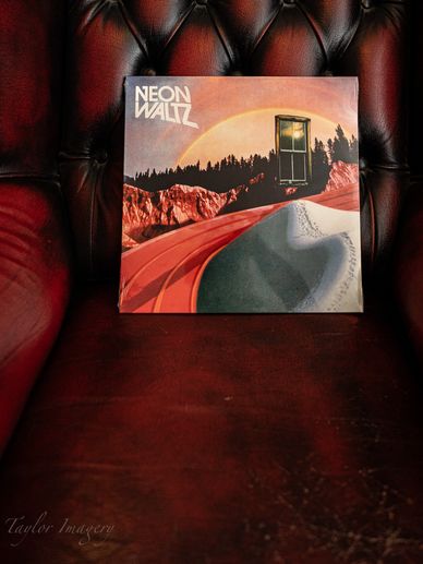 Vinyl album propped up on red leather chair.