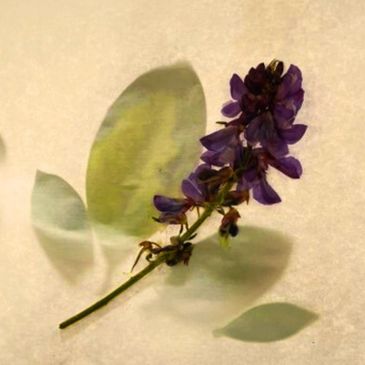 Alicia Martínez Venero diseña entornos de trabajo sostenibles, previniendo ansiedad y burnout.