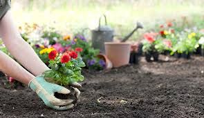 How To Really Grow