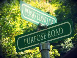 Purpose