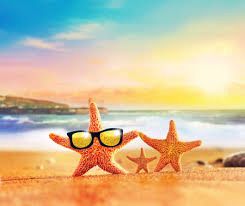 Summer Breeze