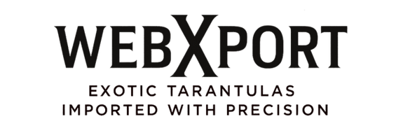 WebXport