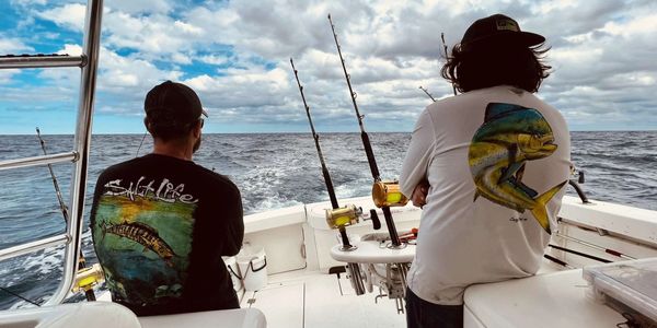 The view of freedom.