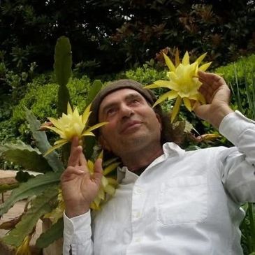 Shambala Songstar