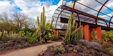 Desert Botanical Garden