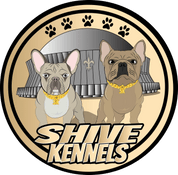 Shive Kennels 