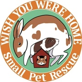 Wish You Were Home Small Pet Rescue 