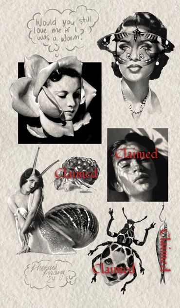 Collection of surrealist tattoo flash art comprised bug-human portraits done in black and grey
