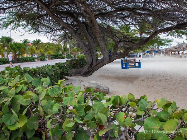 Eagle Beach, Aruba