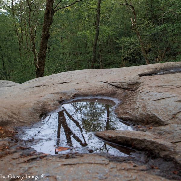 Reflections in puddles