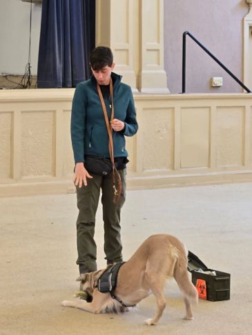 Person training a dog indoors near a door labeled 'Discipline Suite'.