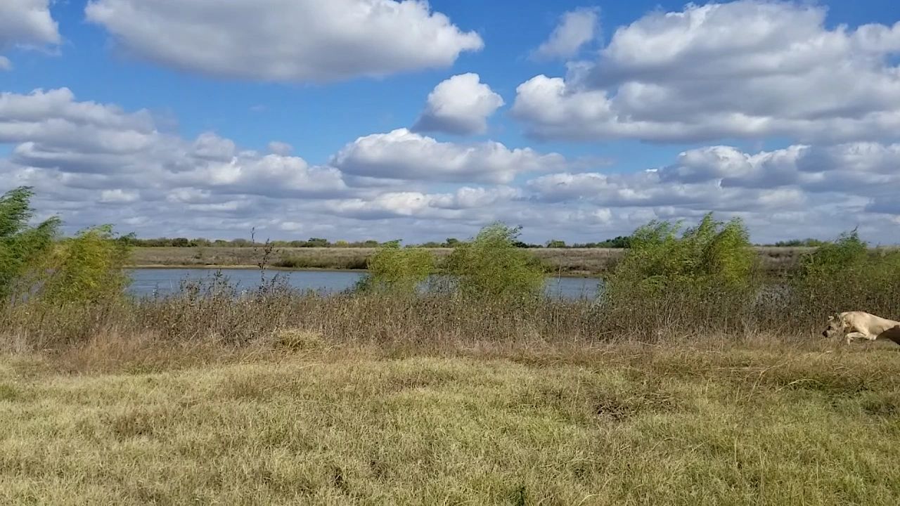 https://img1.wsimg.com/isteam/ip/75a474f2-1c15-46c1-aec8-8f7676019910/thumbnails/thumbnail-86bc4339-f9da-48e1-a82c-c665e78c658b.png