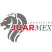 juamex Consulting