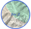 Division Zulu