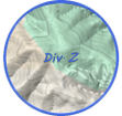 Division Zulu