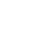 THRIVE Academy 
