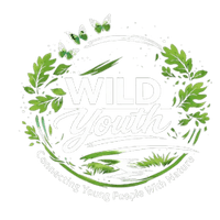 Wild Youth