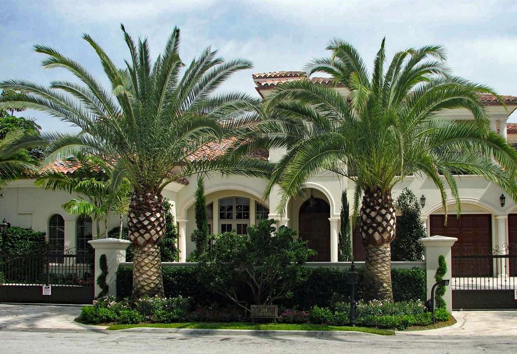 Custom high-end residence, matched Date Palms, custom masonry columns and decorative aluminum entry,